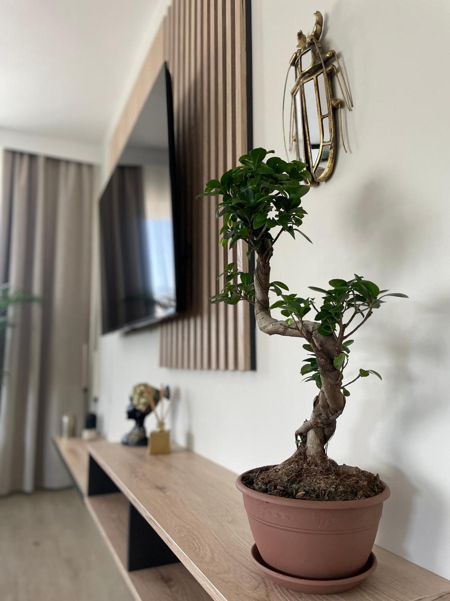 Apartament 13 키엘체 외부 사진